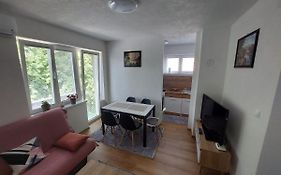 Apartman 